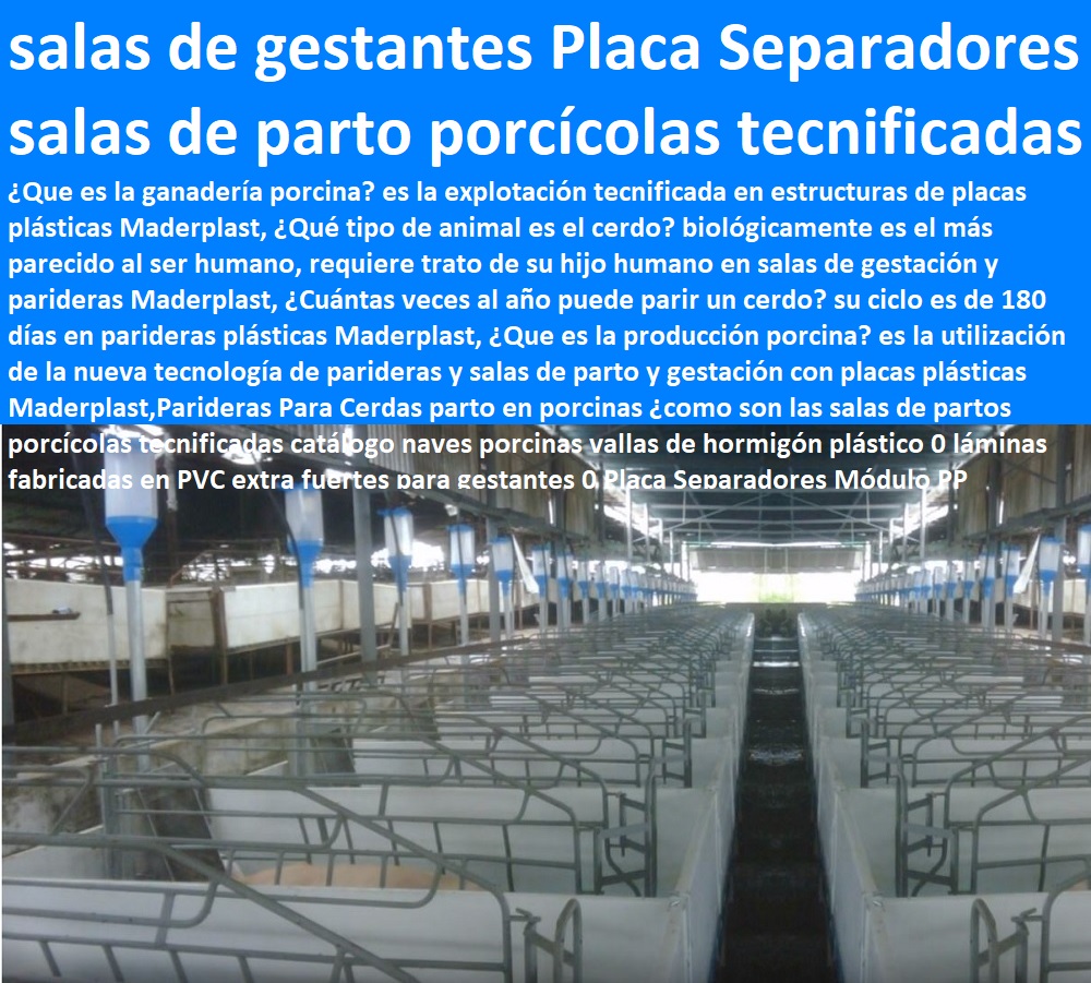 Parideras Para Cerdas parto en porcinas ¿como son las salas de partos porcícolas tecnificadas catálogo naves porcinas vallas de hormigón plástico 0 láminas fabricadas en PVC extra fuertes para gestantes 0 Placa Separadores Módulo PP Parideras Para Cerdas parto en porcinas ¿como son las salas de partos porcícolas tecnificadas como criar marranos, cómo criar cerdos técnicas modernas, manual para criar cerdos, como hacer un criadero de cerdos, cría de cerdos rentabilidad técnicamente, como engordar cerdos con maíz tecnificado, instalaciones para cría de cerdos, catálogo naves porcinas vallas de hormigón plástico 0 láminas fabricadas en PVC extra fuertes para gestantes 0 Placa Separadores Módulo PP